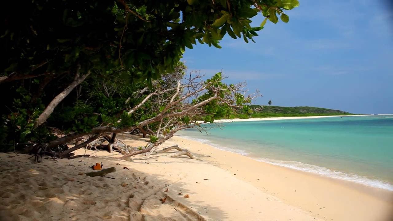 Little Andaman Island