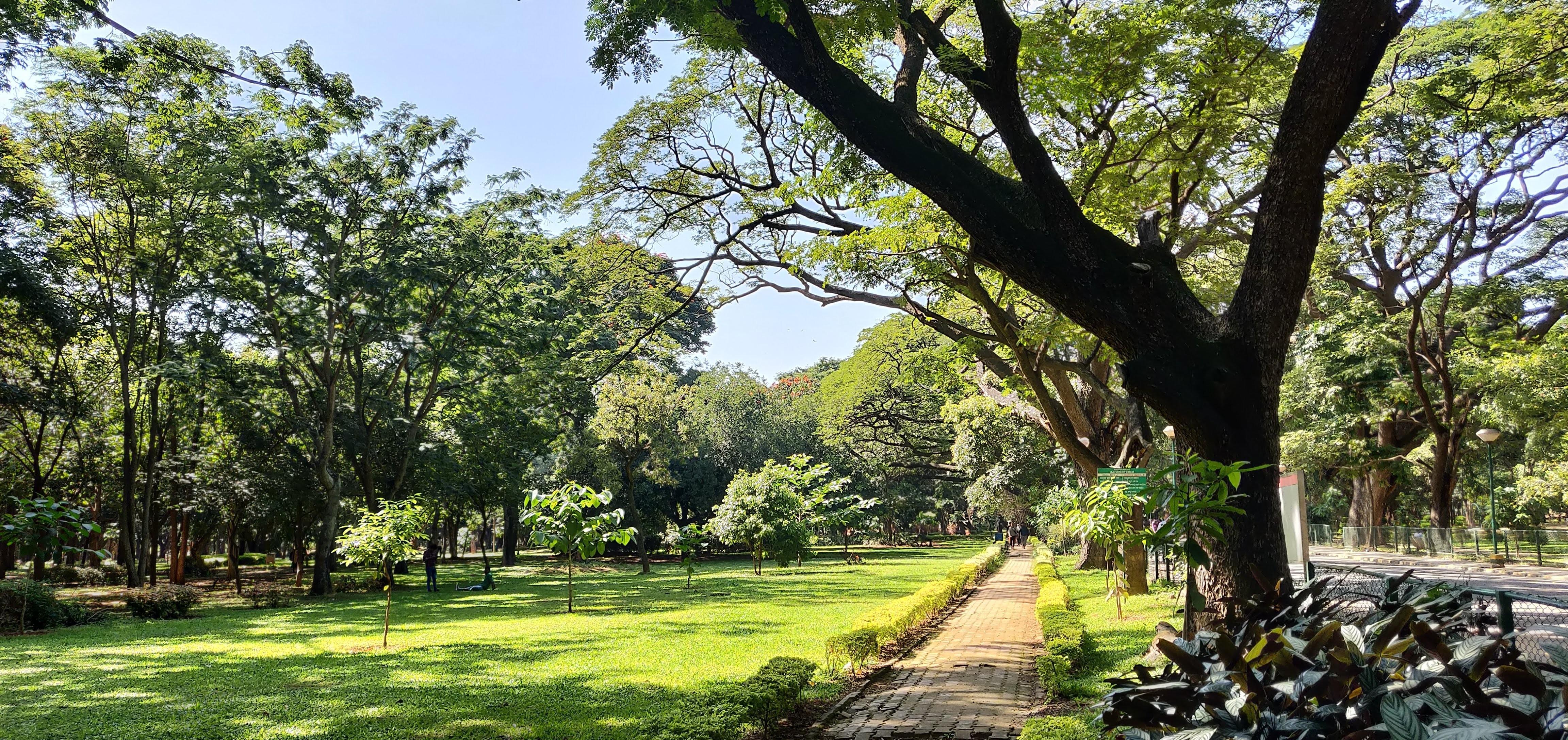 Cubbon Park