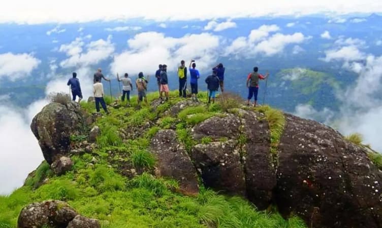Neelakurinji Trek, Munnar I Book Online & Get Flat 30% Off