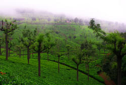 Coonoor