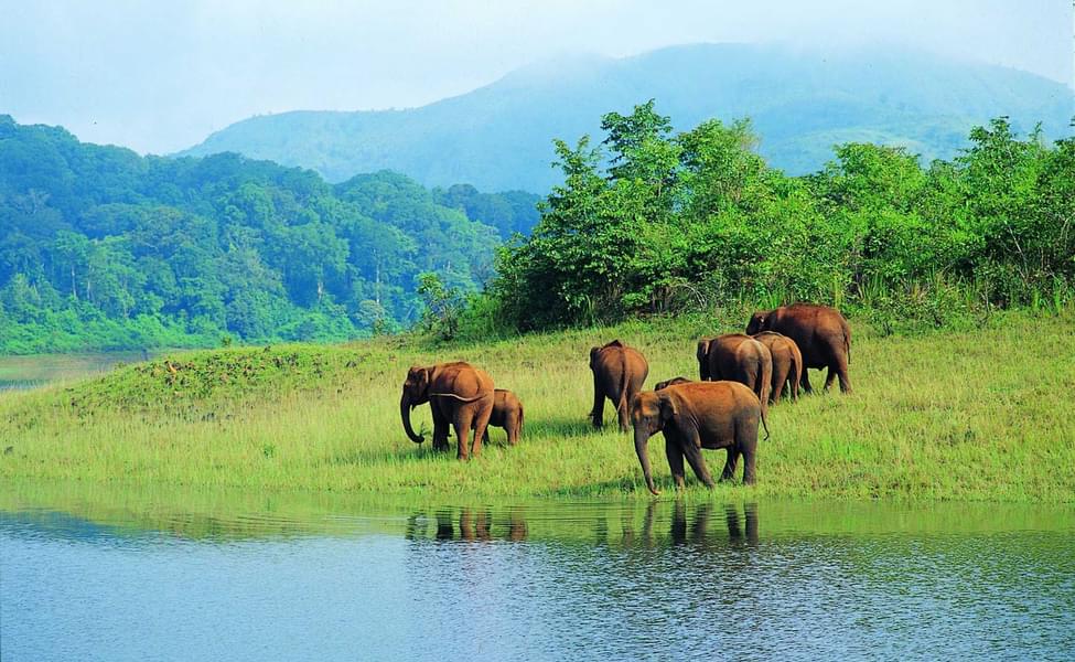 20 Places To Visit In Idukki Tourist Places And Top Attractions