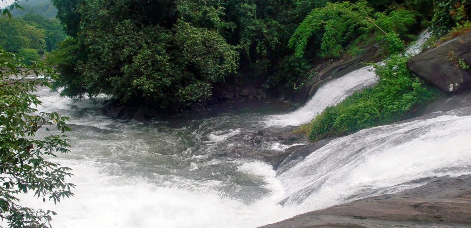 1551449181 1551077386 nilambur 554644 0.jpg