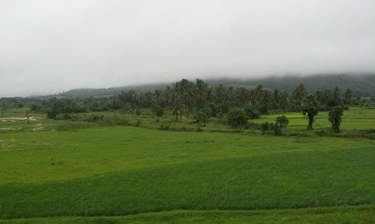 Palakkad