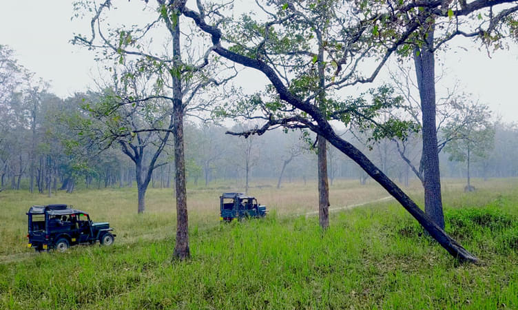 Muthanga Wildlife Safari, Wayanad | Get 25% off