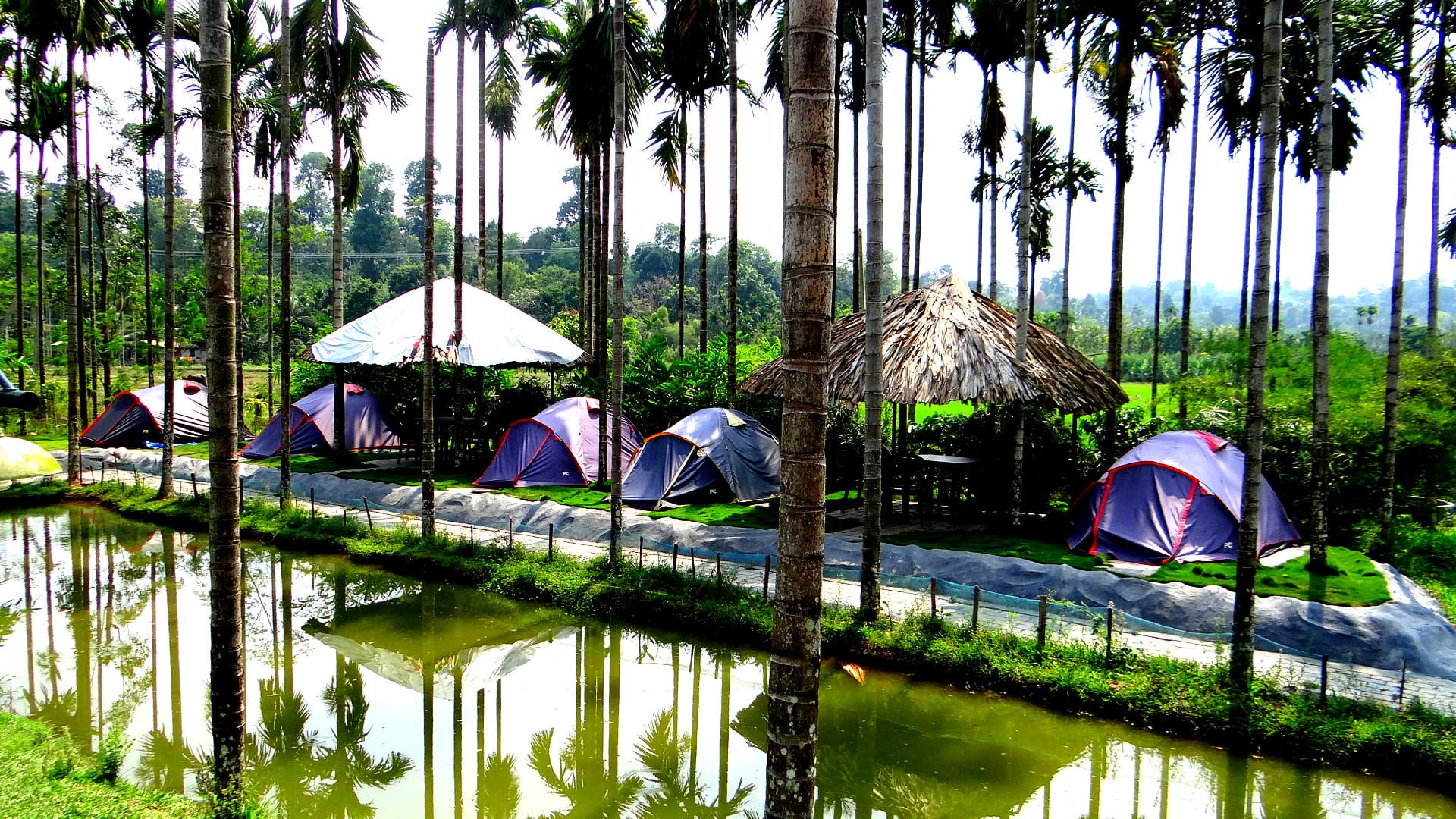 Camping at Modern Hill District Club, Wayanad