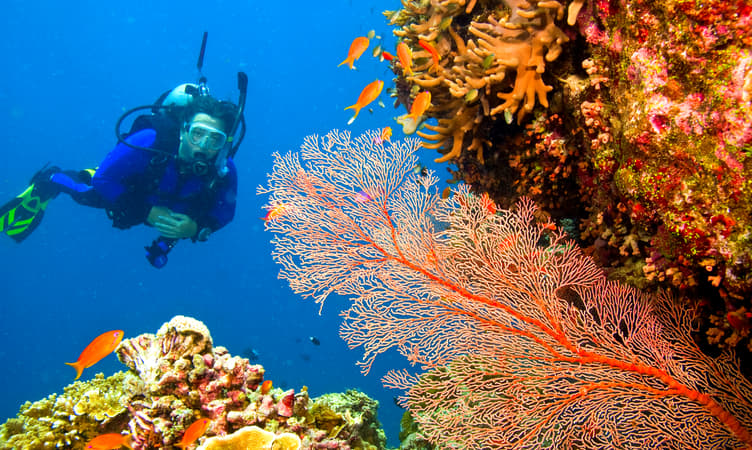 Scuba Diving in Andaman | Book Now & Get Flat 14% off