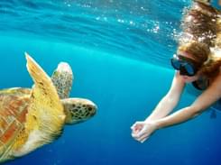 Snorkeling in Andaman, Book Now @ ₹1,850 Only!