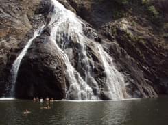 Trek to Dudhsagar Waterfalls, Goa(monsoon Special)