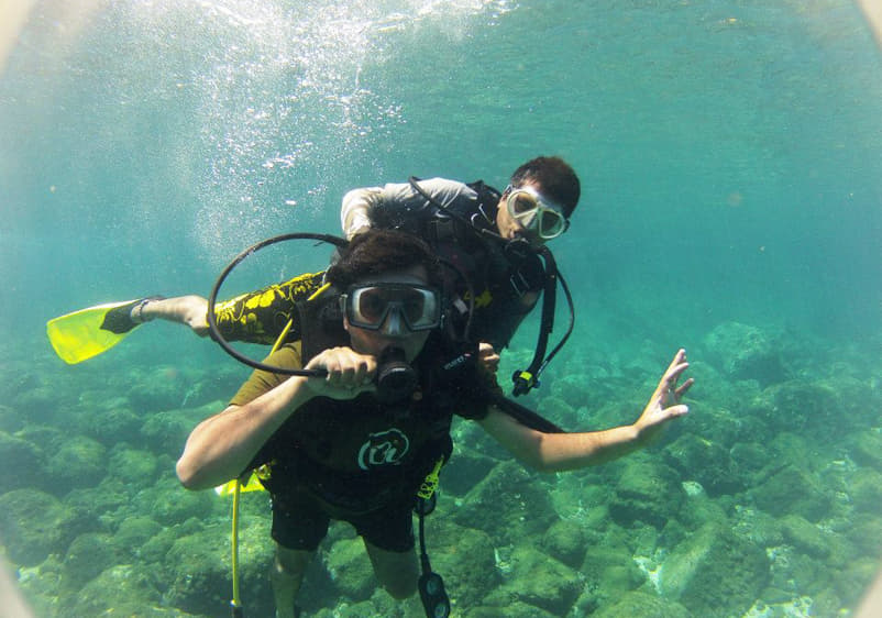 Turtle Bay, Udupi - a hidden getaway