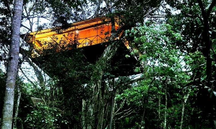 Vythiri Retreat for Team Building