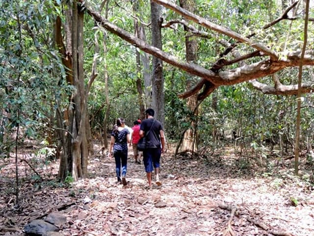 Trip to Cotigao Wildlife Sanctuary, Canacona