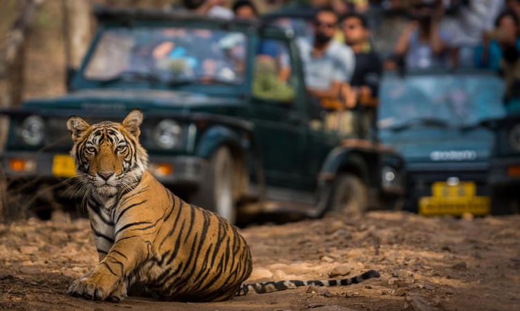 Golden Triangle Tour with Ranthambore 2022 | Flat 21% off