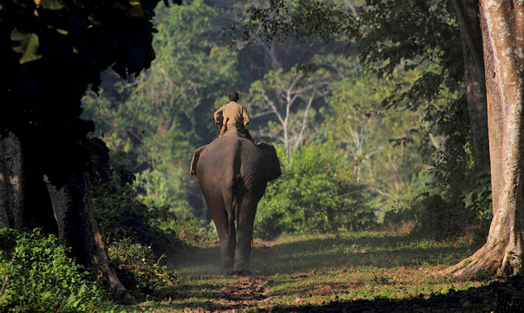 Holiday to the tribal land of Seven Sisters