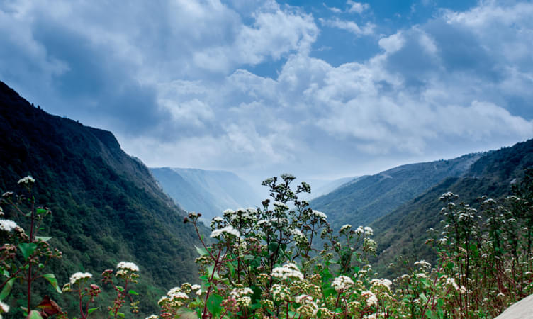 Assam Meghalaya Holiday Tour Package