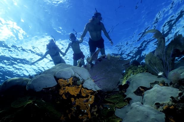 Snorkeling Trip, Kochi