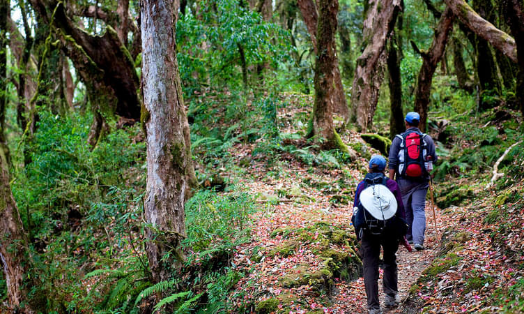 Namdapha Wildlife Trek