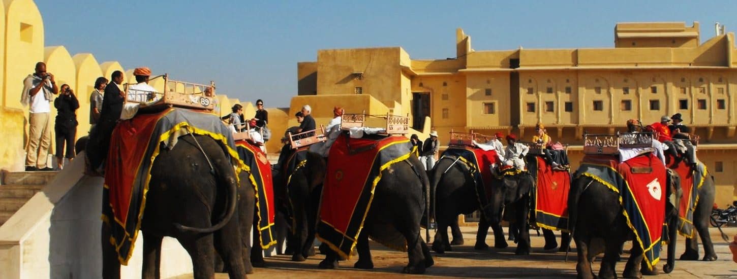 Amber Jaipur Elephant Safari