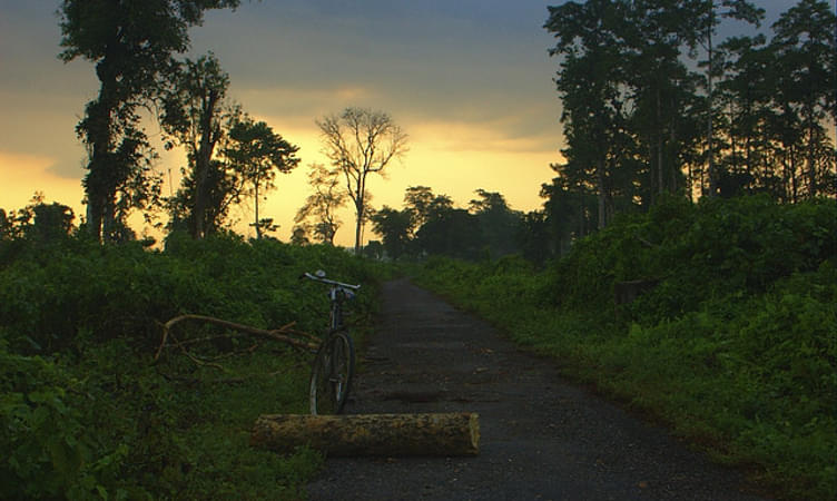 Nameri Eco Camp
