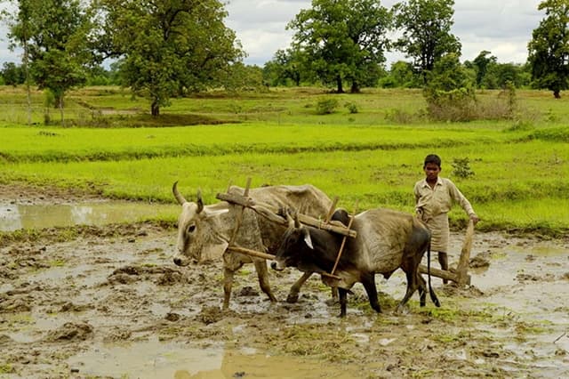 Farm Tour, Thanjavur