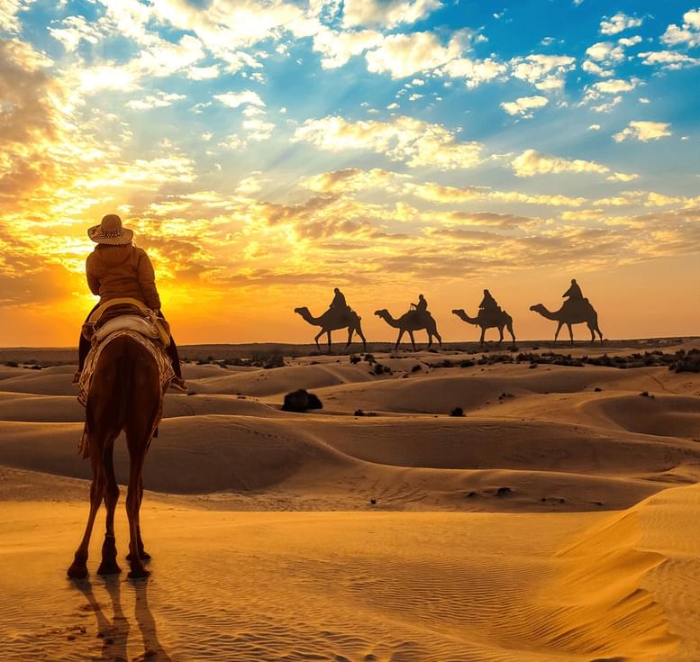  jaisalmer camel safari