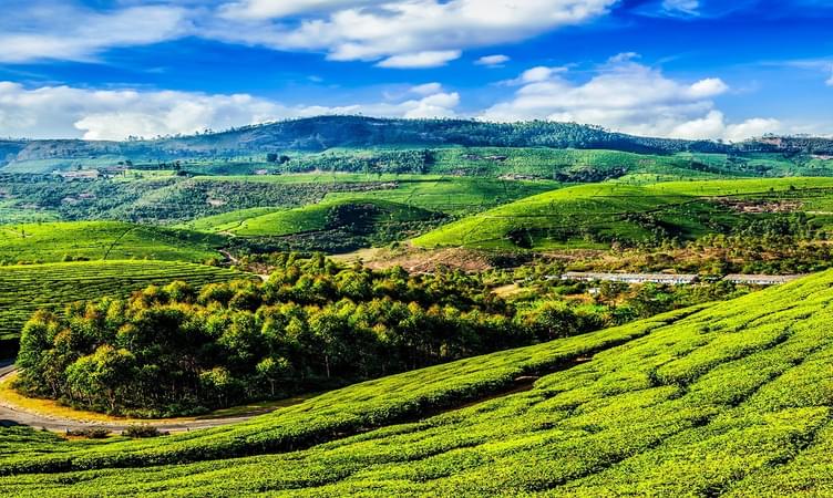  Places to Visit in Munnar, Tourist Places & Top Attractions
