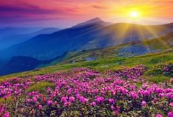 Ooty