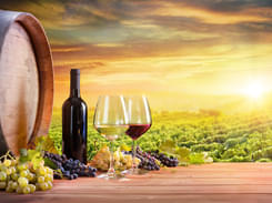 Wine Tour in Bangalore: Flat 10% off