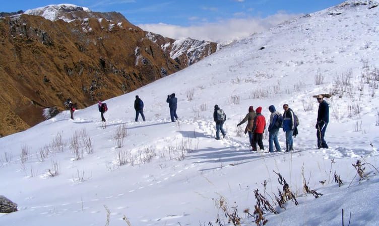 Auli Trek 2022, Uttarakhand | Book Auli Winter Trek @ 15% off