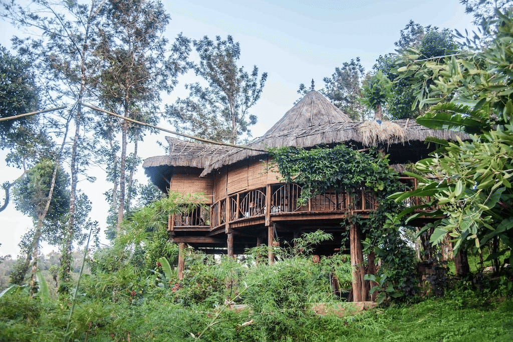 Offbeat Estate Stay near Karada, Coorg | Book & Get 14% off