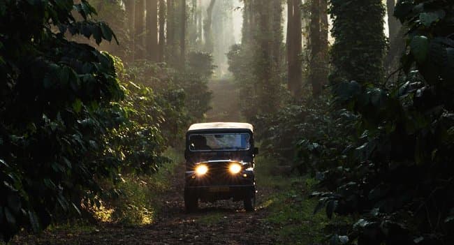 Night Mountain Drive In Coorg