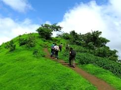 Trek to Tikona Fort from Pune @ 899 Only