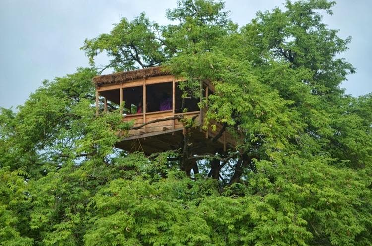 Day Out At Bamboo Rustles