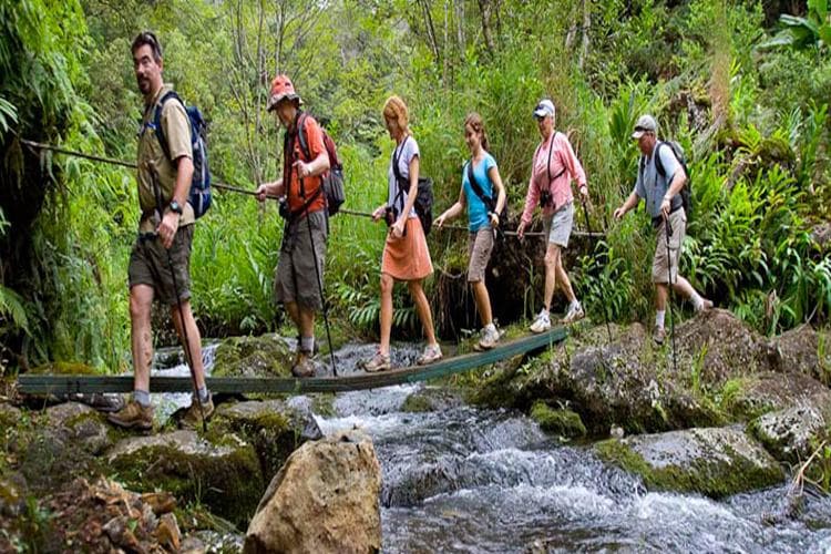 Bird Watching In Mudumalai