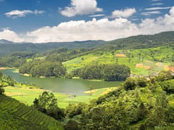 Ooty Sightseeing Packages | Book Online & Save 20%
