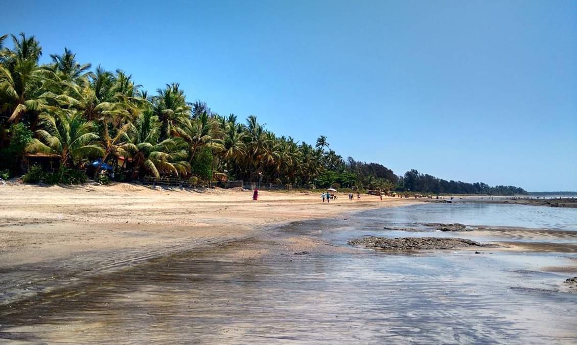 Scenic view of Alibag Beach with coconut trees, golden sand, and tourists enjoying the shoreline – JKV Travel