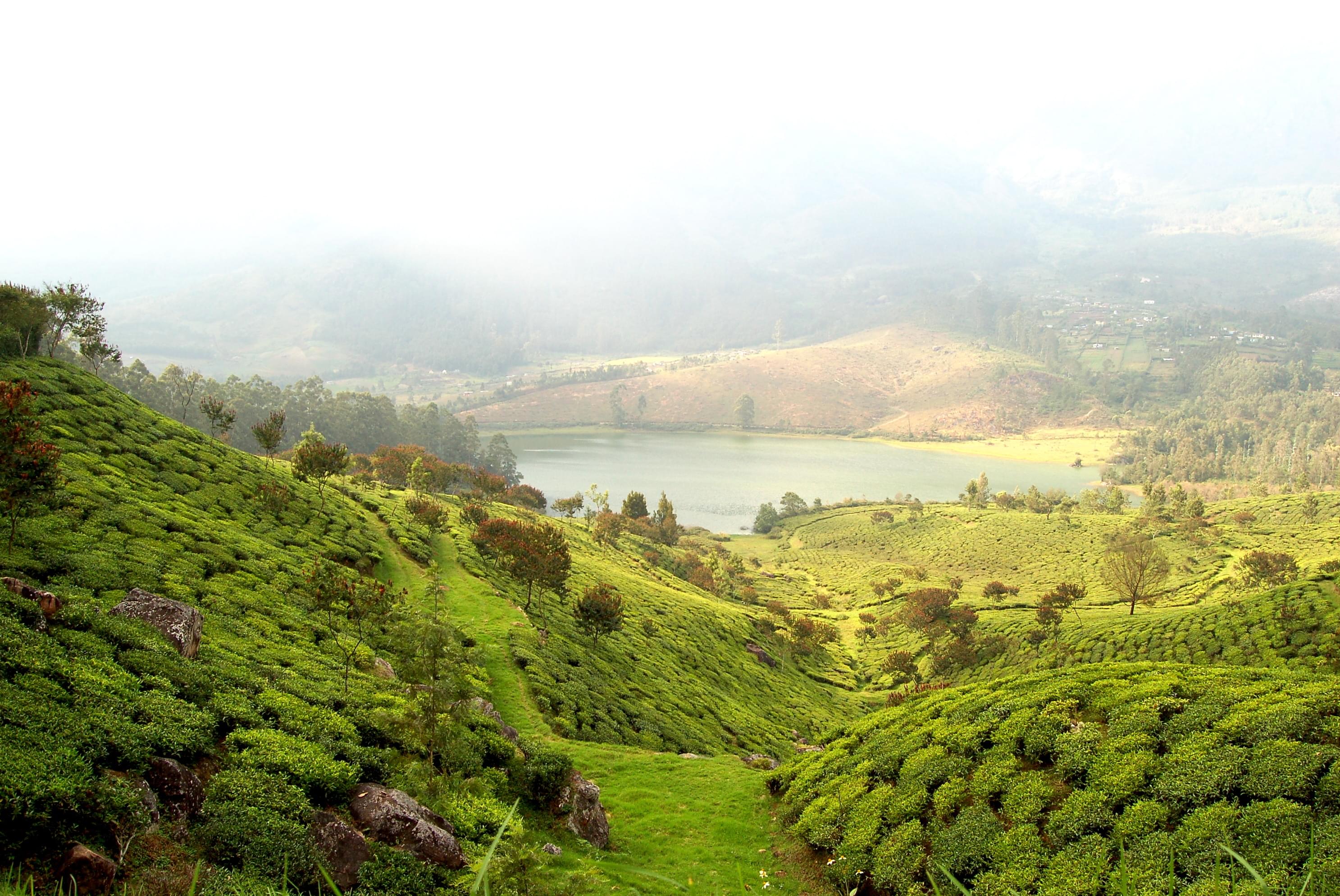 25 Best Trekking Tours Packages In Munnar