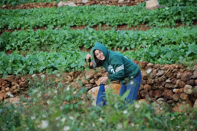 Backpacking Tour to Bellikkal Estate, Hullathy Village