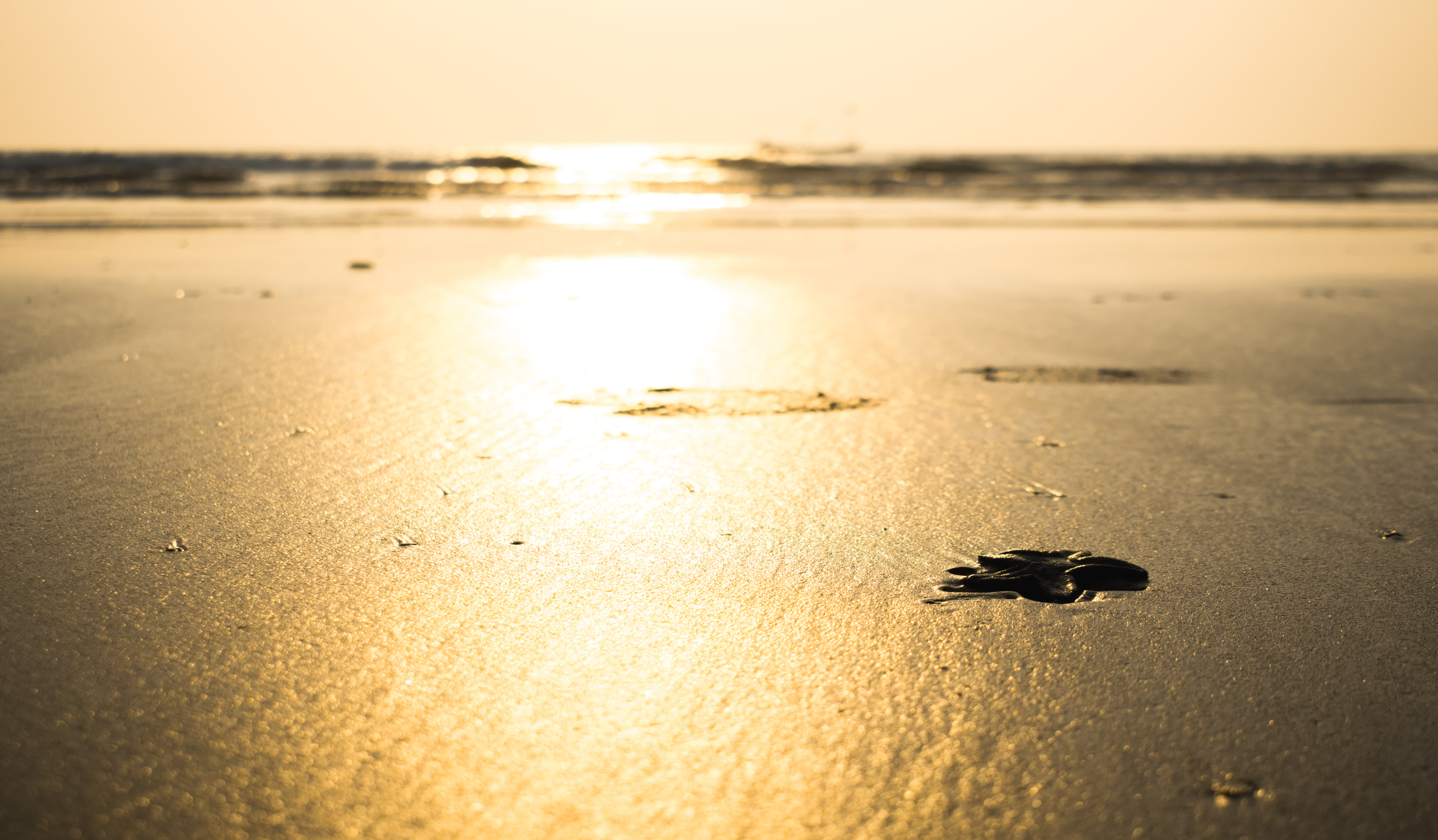 15 Beaches in Tarkarli: {{year}} (With Location & Best Time)