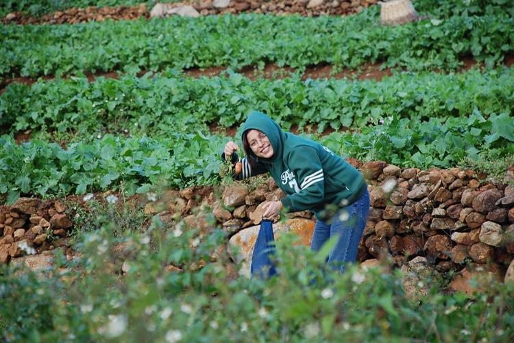 Stay at Wild Walkers, Mudumalai