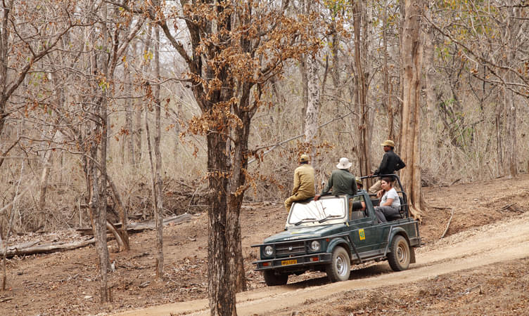 Pench National Park - 582 Km from Hyderabad