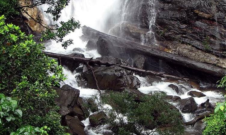 Kadambi Falls