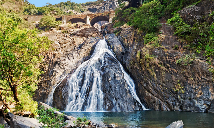Dudhsagar Falls (594 kms from Mumbai)