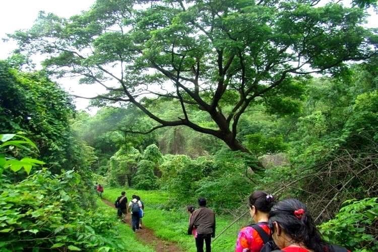 Glenmorgan Trek, Ooty - 290 km from Bangalore