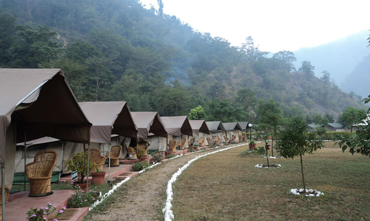 Himalayan Bear Stream Camp