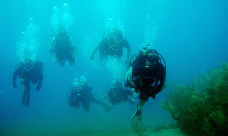 Scuba Diving at Sao Gorge Island in Goa