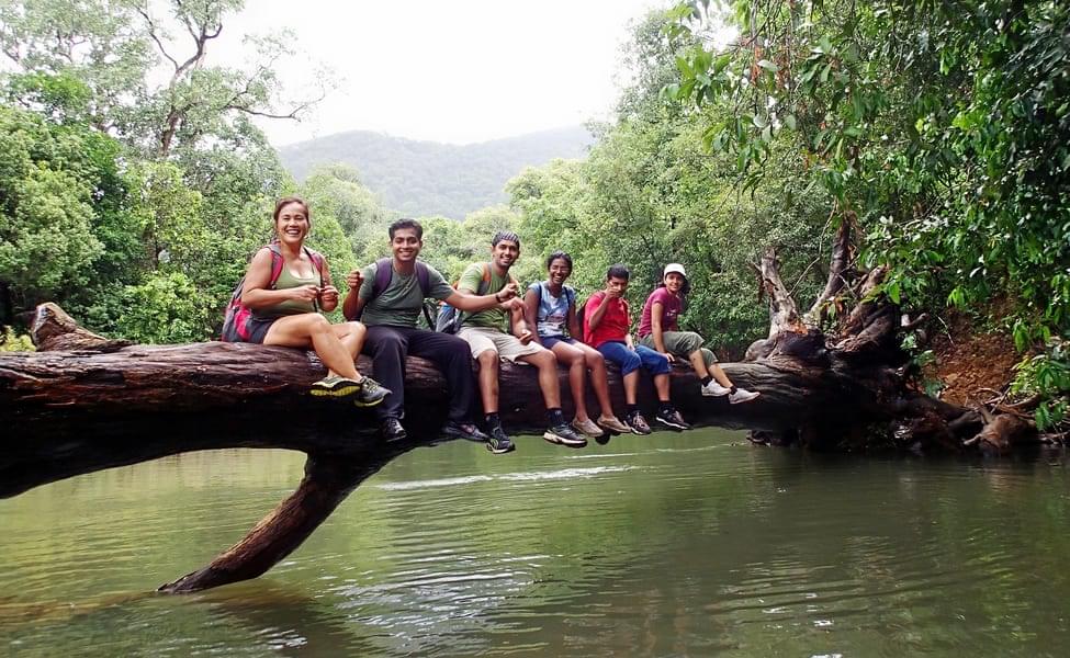 Netravali Wildlife Sanctuary Tour, Goa | Get Flat 20% Off