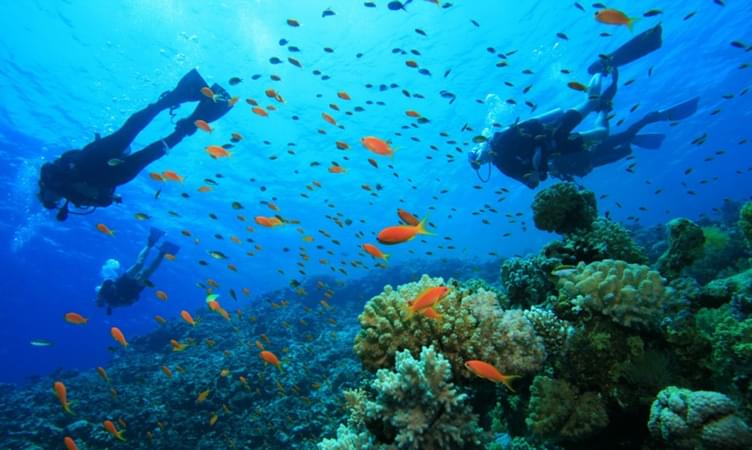 Scuba Diving in Konkan | Book Online @ Flat 19% off