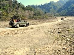 Stay at Forest Rajaji National Park in Uttarakhand