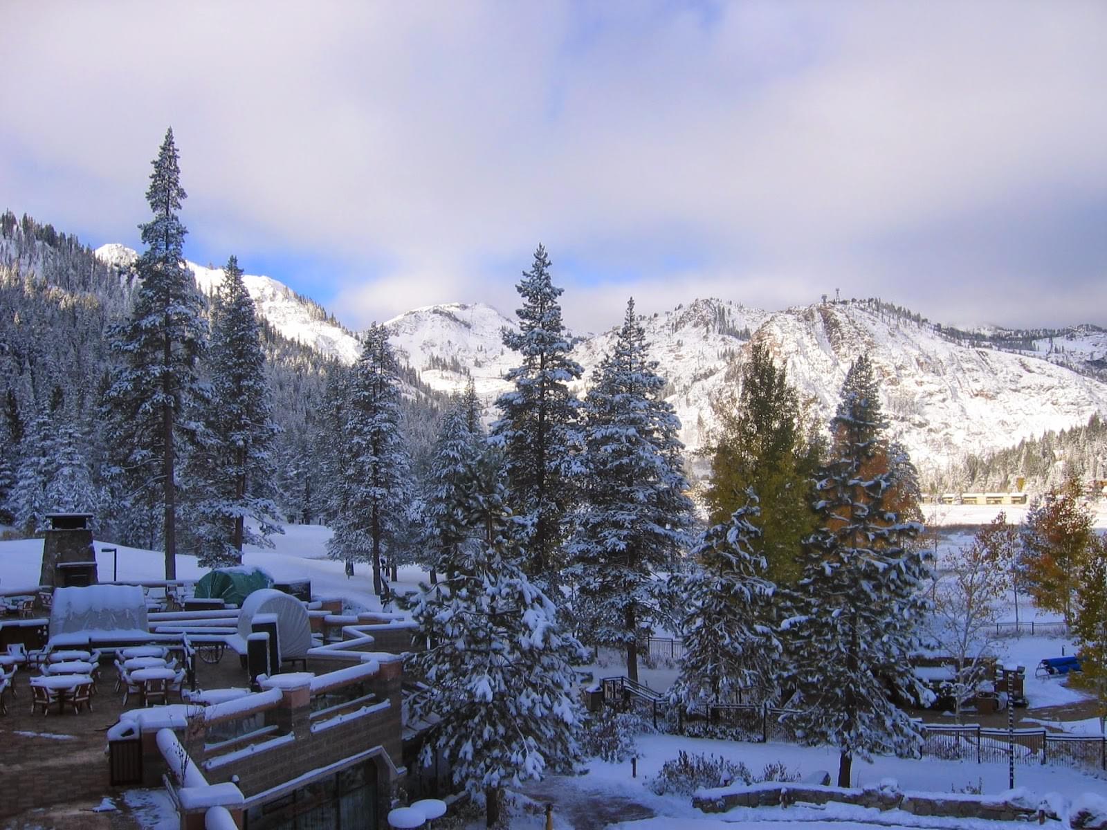 12 Best Things to Do in Lansdowne: {{year}} (Updated List)