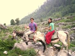 Horse Riding in Manali at Solang Valley | Book @ 13% off